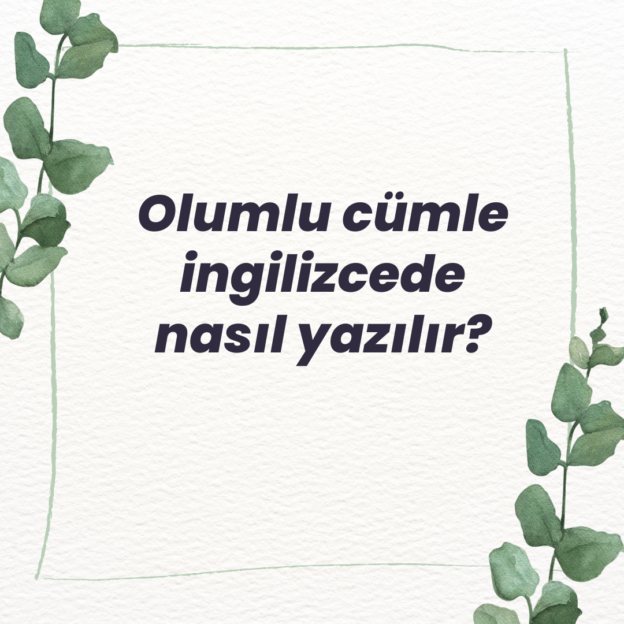 Olumlu cümle ingilizcede nasıl yazılır? Ne Demek Zıt Anlamı Eş Anlamı