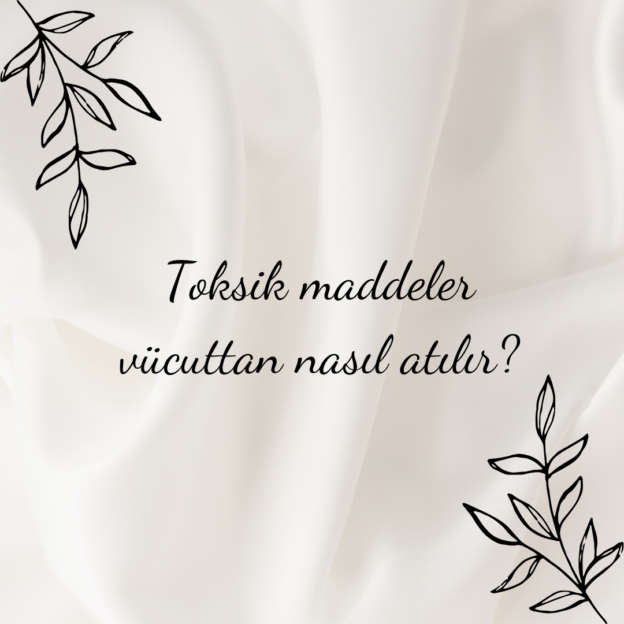 Toksik maddeler vücuttan nasıl atılır? 1