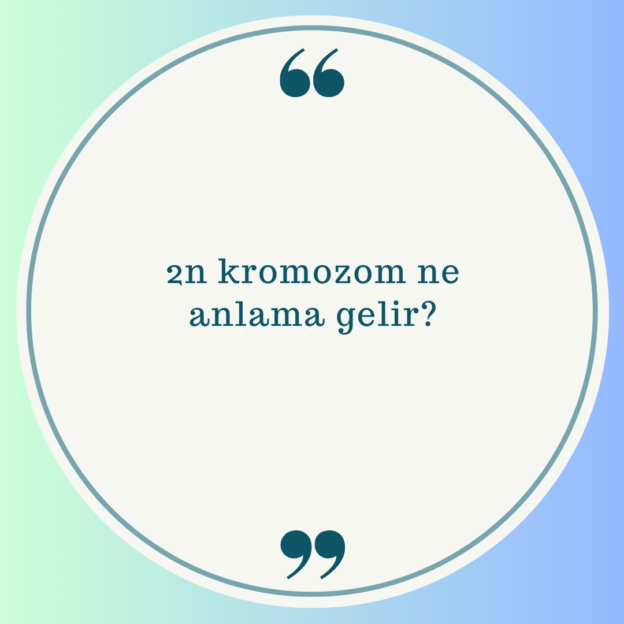 2n kromozom ne anlama gelir? 1