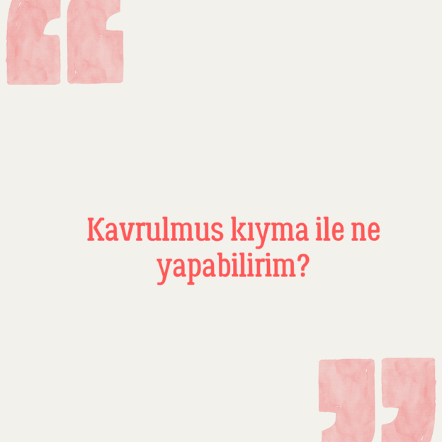 Kavrulmus kıyma ile ne yapabilirim? 1