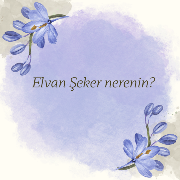 Elvan Şeker nerenin?