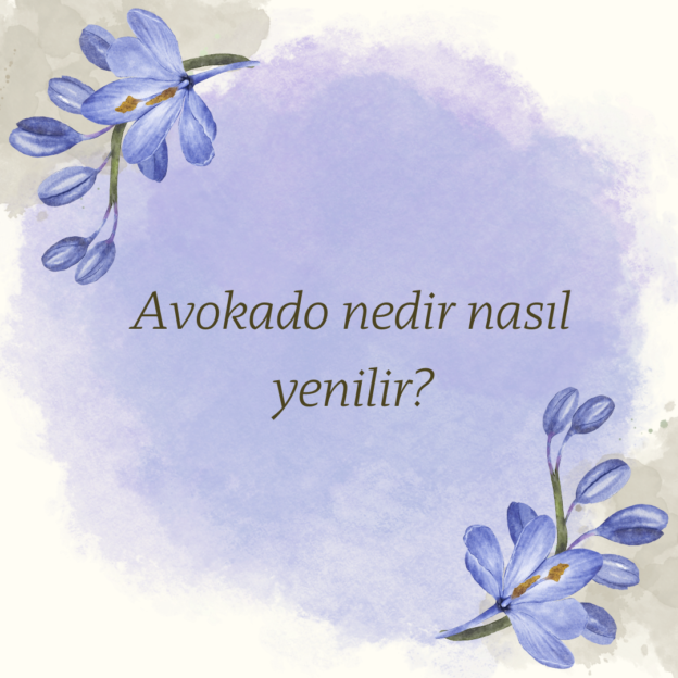 Avokado nedir nasıl yenilir?