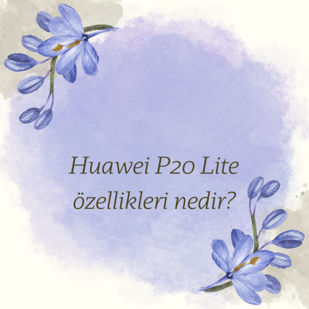 Huawei P20 Lite özellikleri nedir?