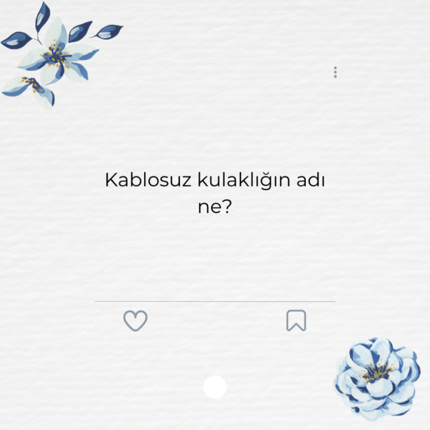 Kablosuz kulaklığın adı ne?