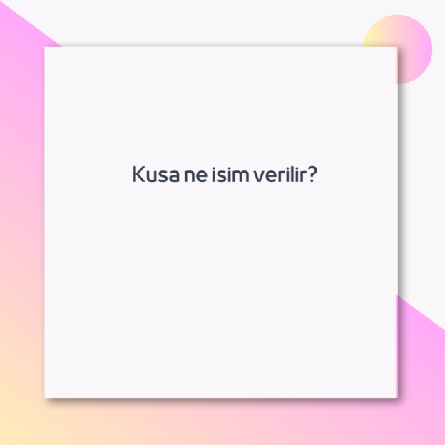Kusa ne isim verilir?