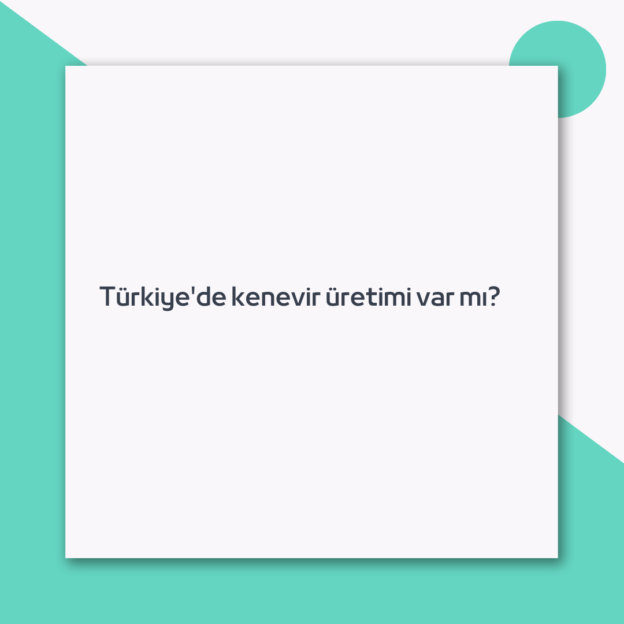 Türkiye’de kenevir üretimi var mı?