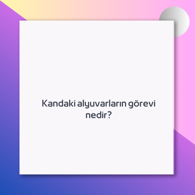 Kandaki alyuvarların görevi nedir?