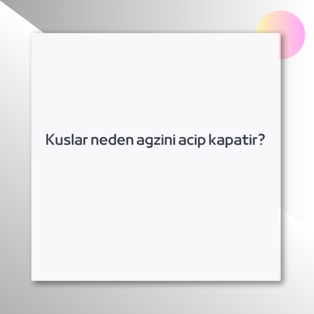 Kuslar neden agzini acip kapatir? 1