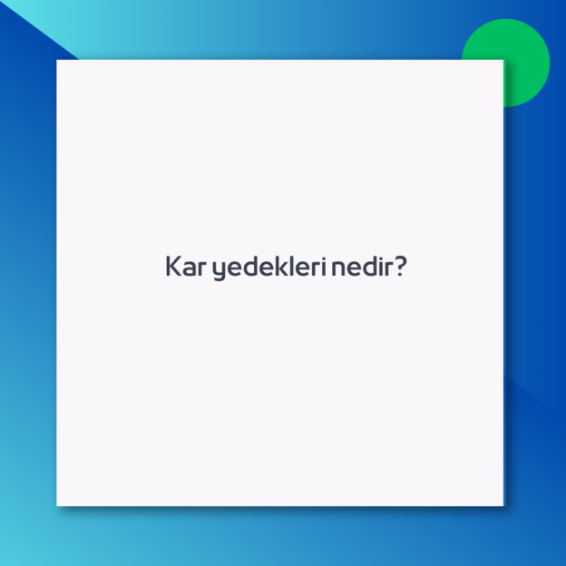 Kar yedekleri nedir?