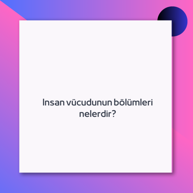 Insan vücudunun bölümleri nelerdir?