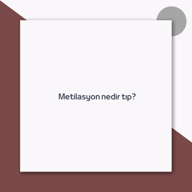 Metilasyon nedir tıp?