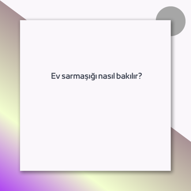 Ev sarmaşığı nasıl bakılır?