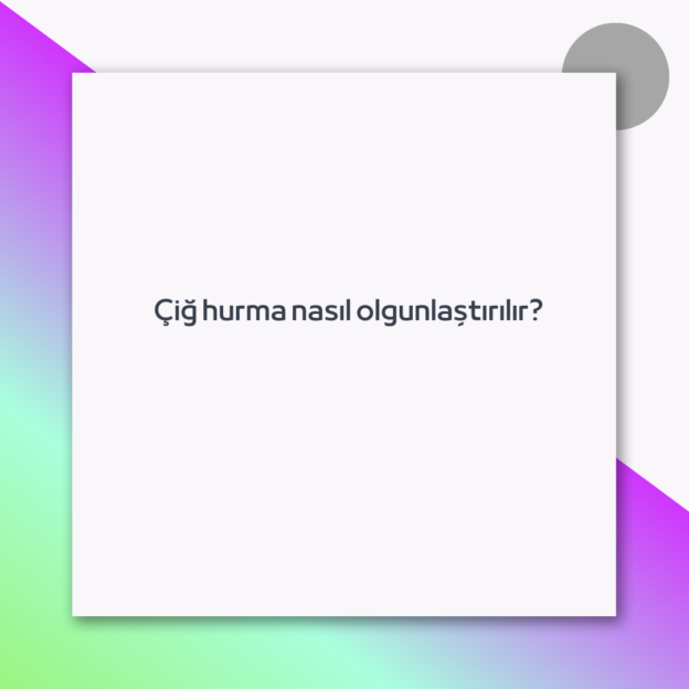 Çiğ hurma nasıl olgunlaştırılır?