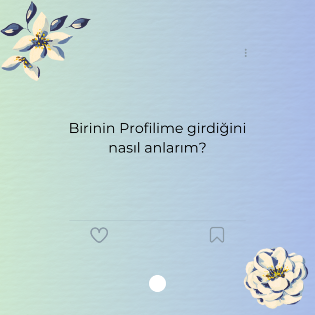 Birinin Profilime girdiğini nasıl anlarım?