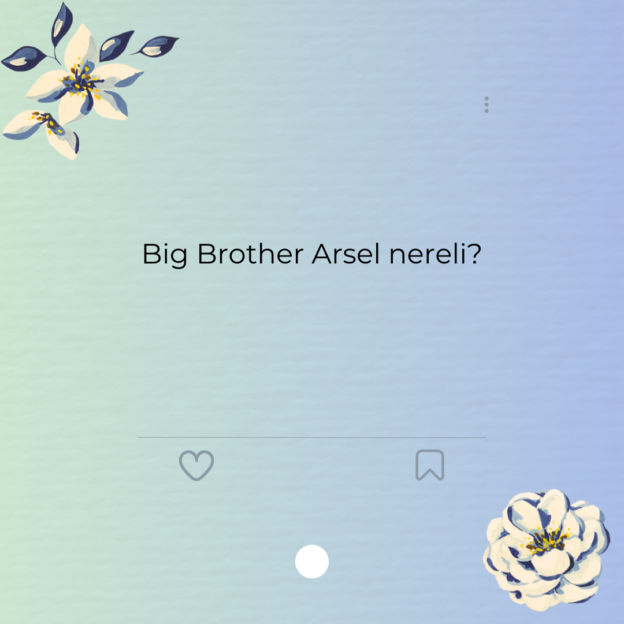 Big Brother Arsel nereli?