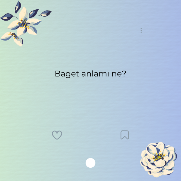 Baget anlamı ne?
