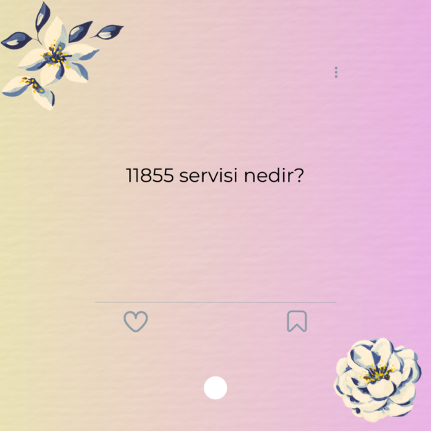 11855 servisi nedir? 1