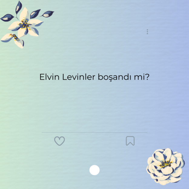 Elvin Levinler boşandı mi?