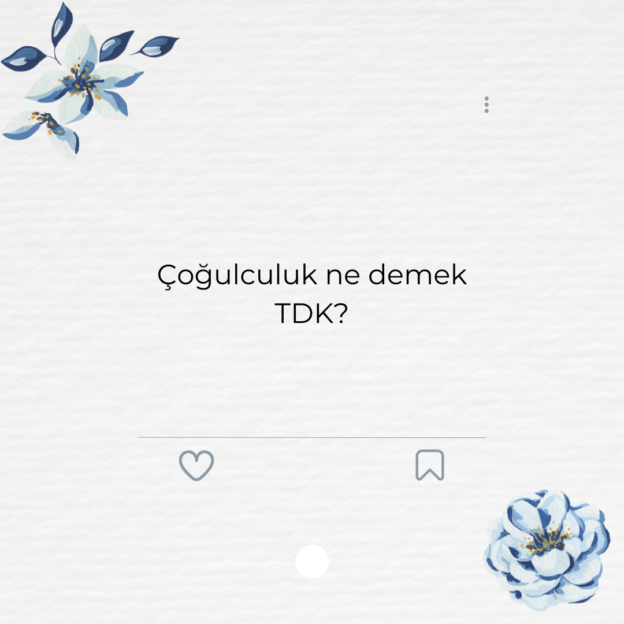 Çoğulculuk ne demek TDK? 1
