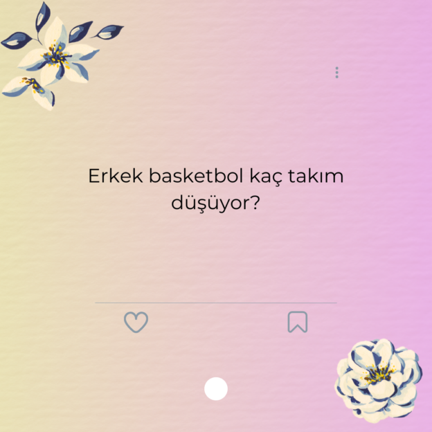 Erkek basketbol kaç takım düşüyor? 1