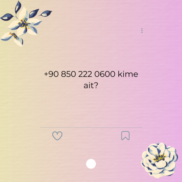+90 850 222 0600 kime ait? 1