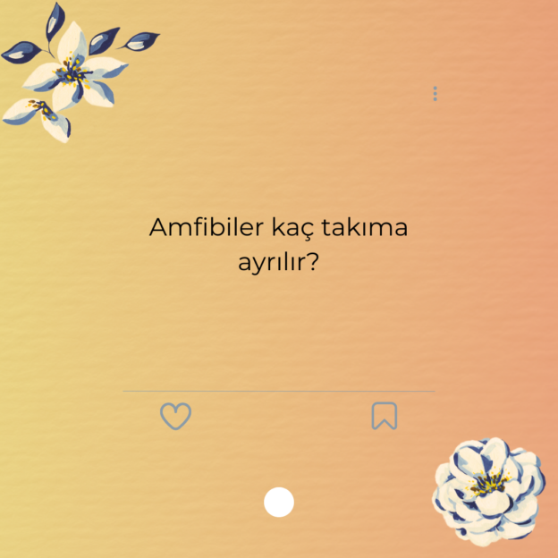 Amfibiler kaç takıma ayrılır? 1