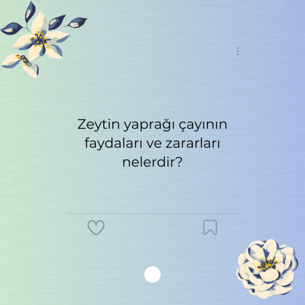 Zeytin yaprağı çayının faydaları ve zararları nelerdir?