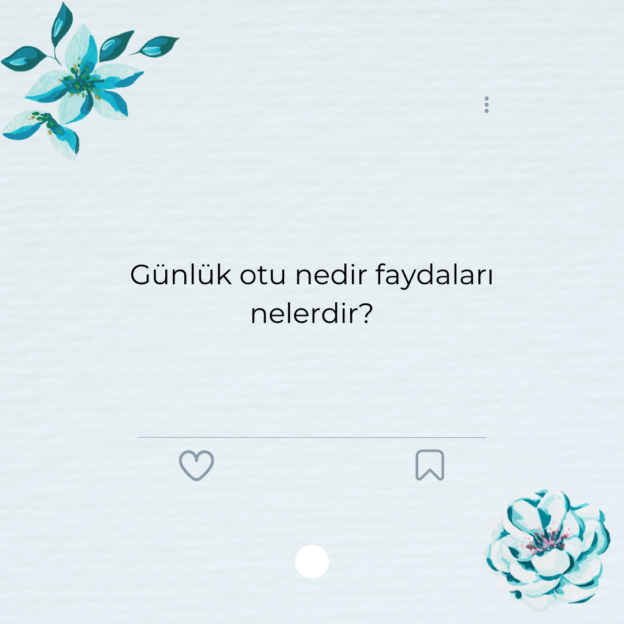Günlük otu nedir faydaları nelerdir? 1
