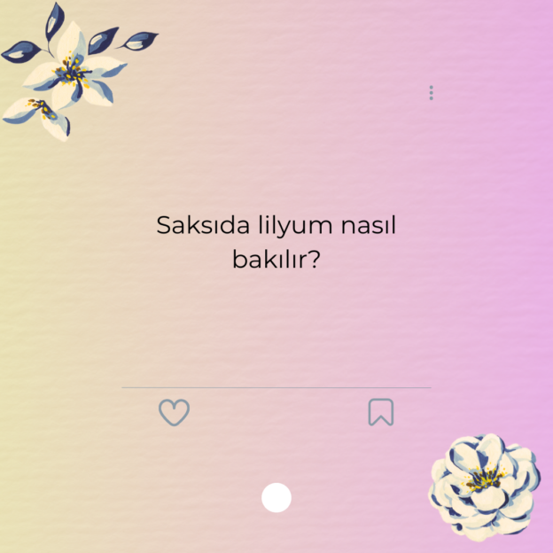 Saksıda lilyum nasıl bakılır? 1