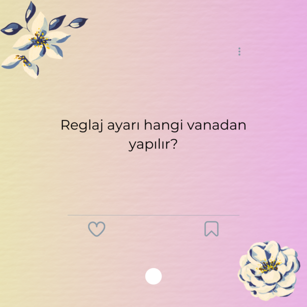 Reglaj ayarı hangi vanadan yapılır? 1