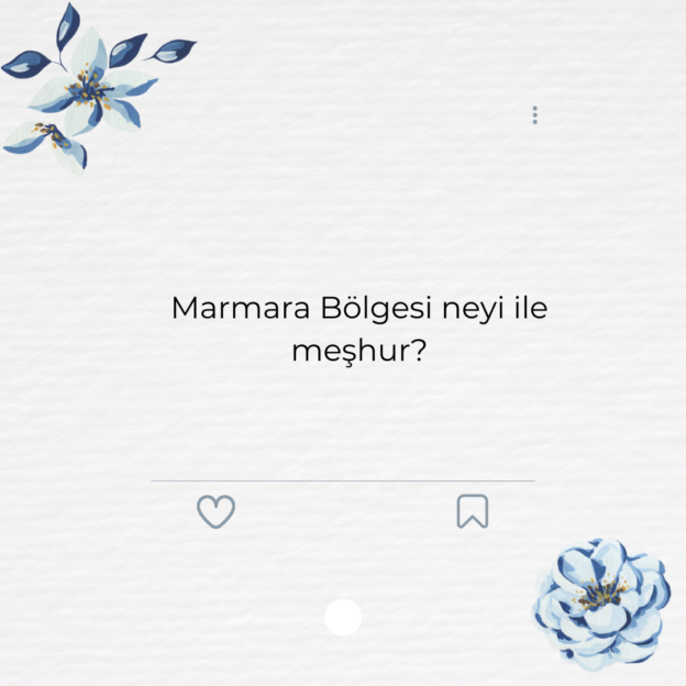 Marmara Bölgesi neyi ile meşhur? 1