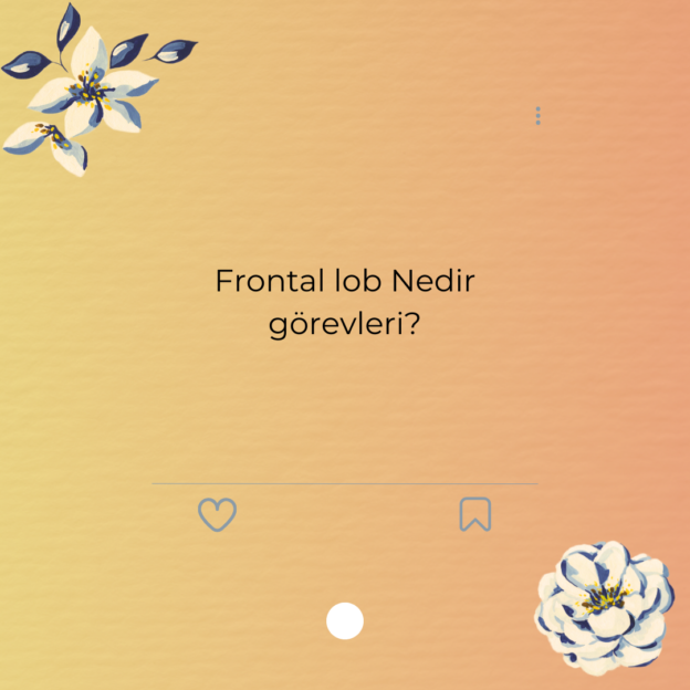 Frontal lob Nedir görevleri? 1