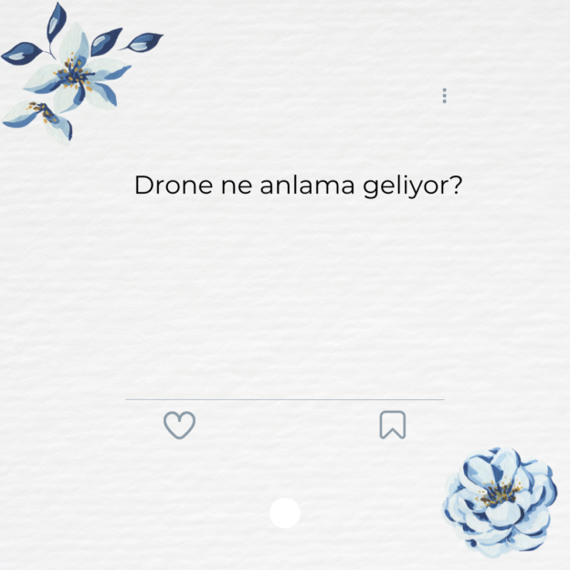 Drone ne anlama geliyor? 1