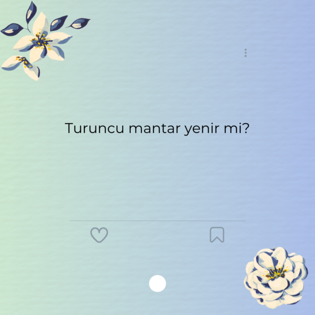 Turuncu mantar yenir mi?