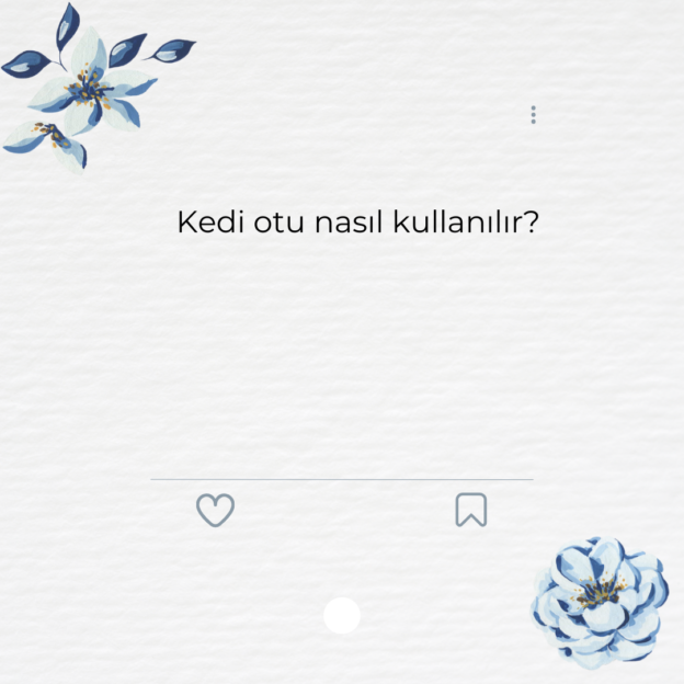 Kedi otu nasıl kullanılır? 1