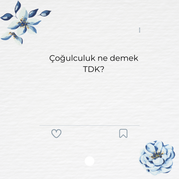 Çoğulculuk ne demek TDK? 1