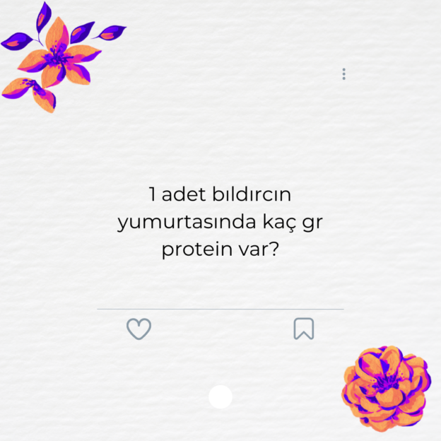 1 adet bıldırcın yumurtasında kaç gr protein var? 1