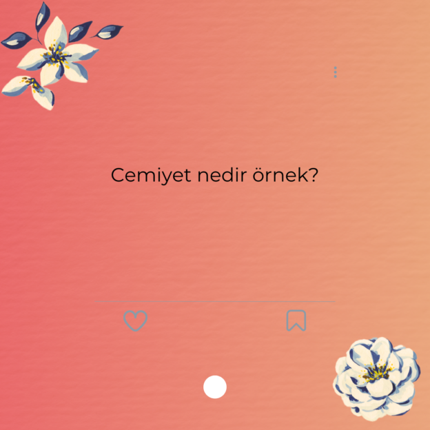 Cemiyet nedir örnek? 1