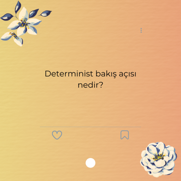 Determinist bakış açısı nedir?