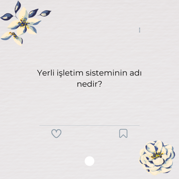 Yerli işletim sisteminin adı nedir? 1