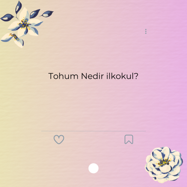 Tohum Nedir ilkokul? 1