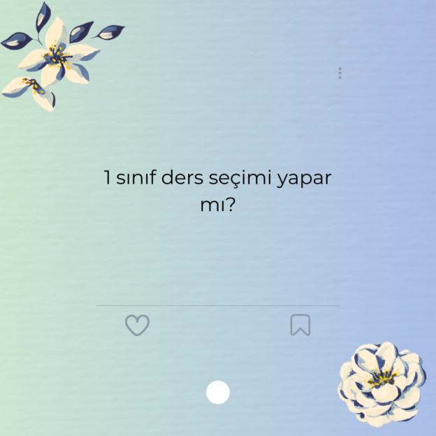 1 sınıf ders seçimi yapar mı?