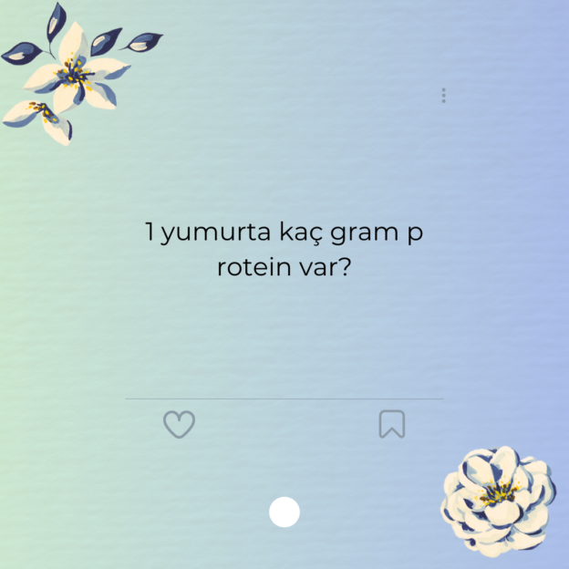 1 yumurta kaç gram protein var?