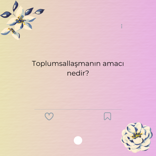 Toplumsallaşmanın amacı nedir? 1