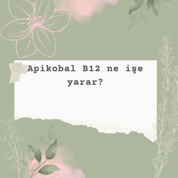 Apikobal B12 ne işe yarar? 1