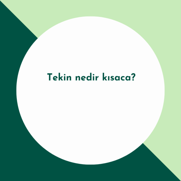 Tekin nedir kısaca? 1