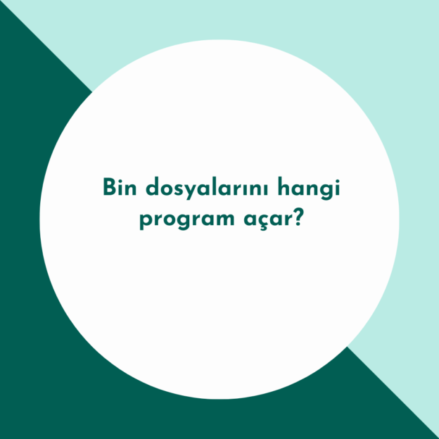 Bin dosyalarını hangi program açar? 1