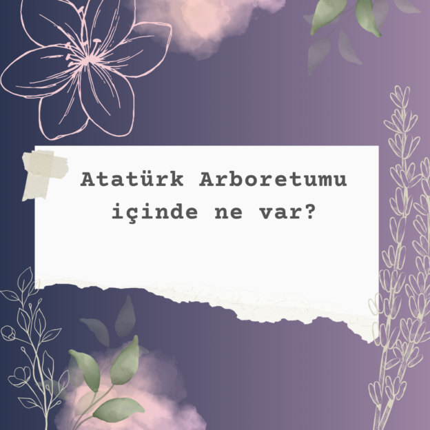 Atatürk Arboretumu içinde ne var?