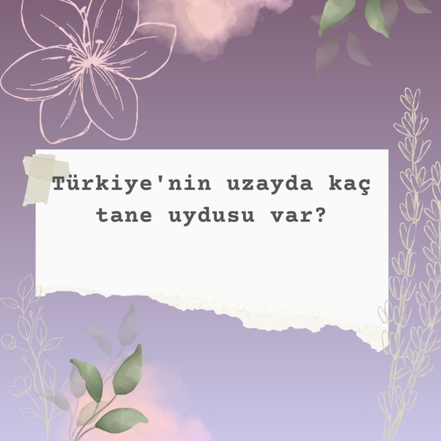 Türkiye'nin uzayda kaç tane uydusu var? 1