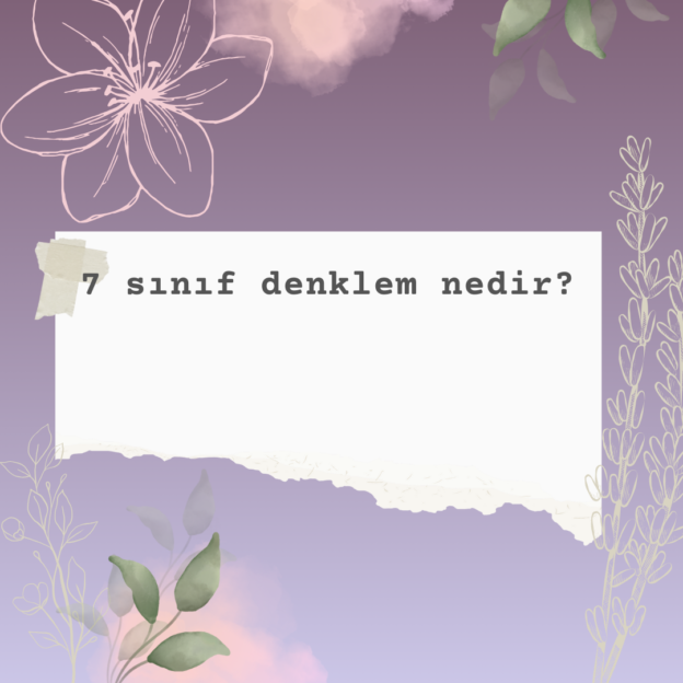 7 sınıf denklem nedir? 1